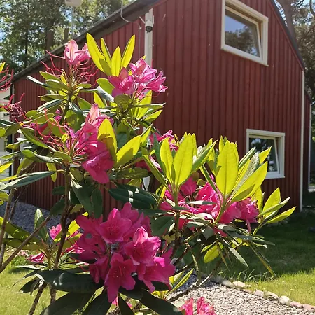 Czerwone Chalet Domyslow