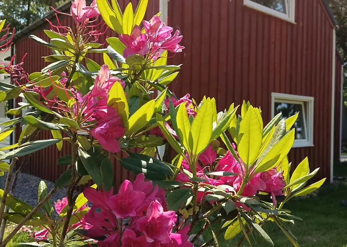 Czerwone Alpehytte Domyslow