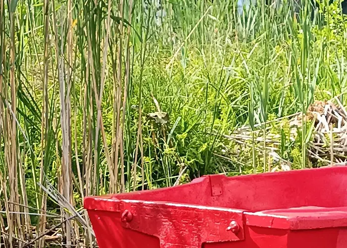 Czerwone Alpehytte Domyslow